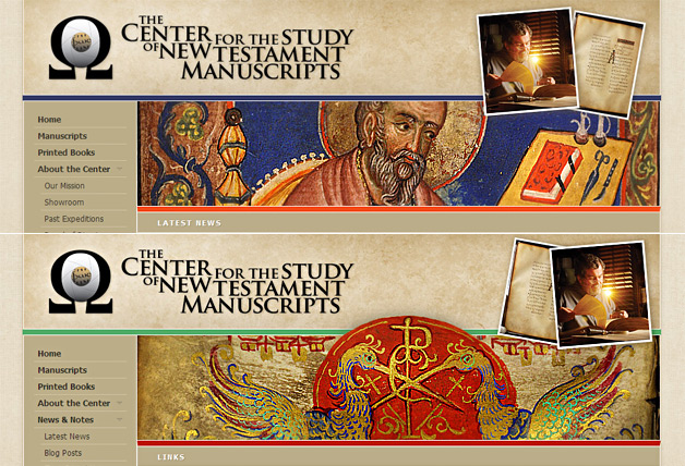 A screenshot of the CSNTM website