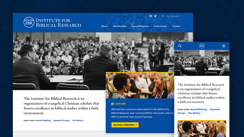 A screenshot of the IBR website